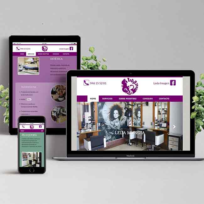 web responsive Leda imagen