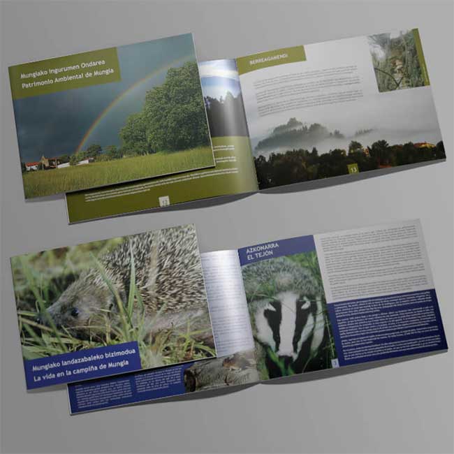 maquetación cuadernos