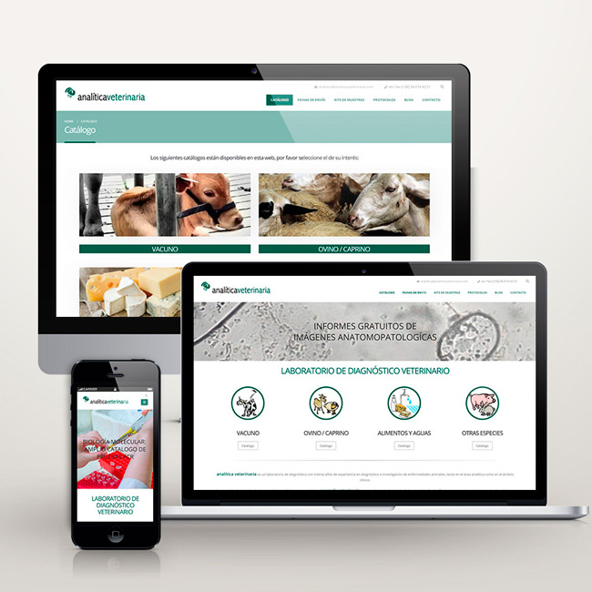 Diseño web Analítica Veterinaria